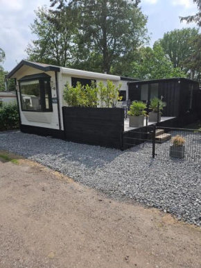 Casa Fleur